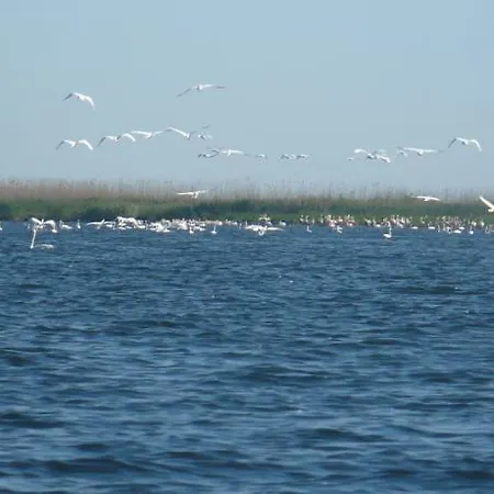 招待所 Casa Iustina 苏利纳