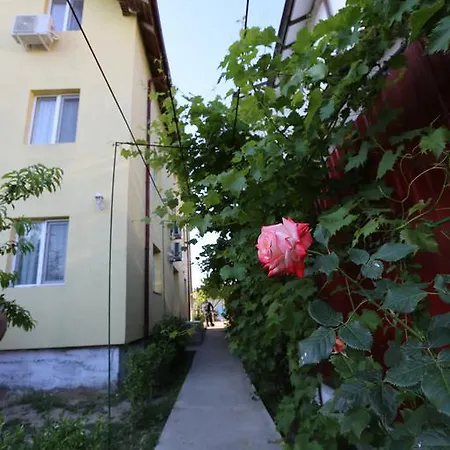 招待所 Casa Iustina